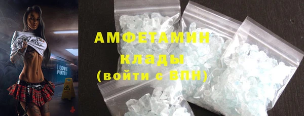 индика Армянск