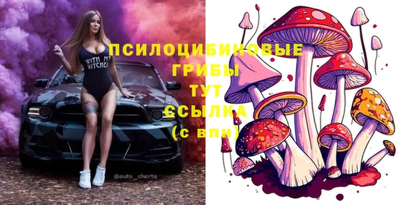 индика Армянск