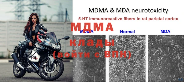 ГАЛЛЮЦИНОГЕННЫЕ ГРИБЫ Заволжье
