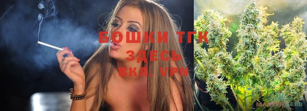 индика Армянск