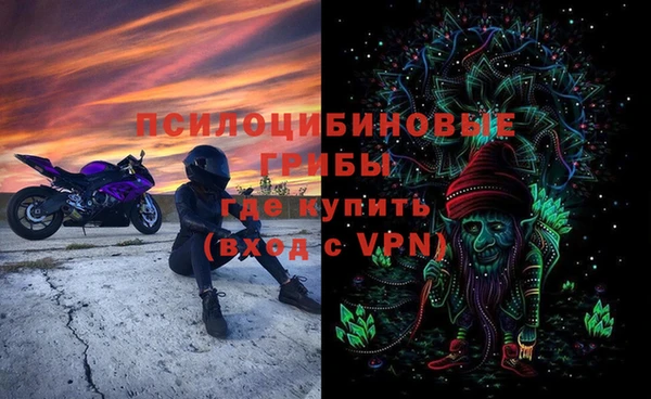индика Армянск